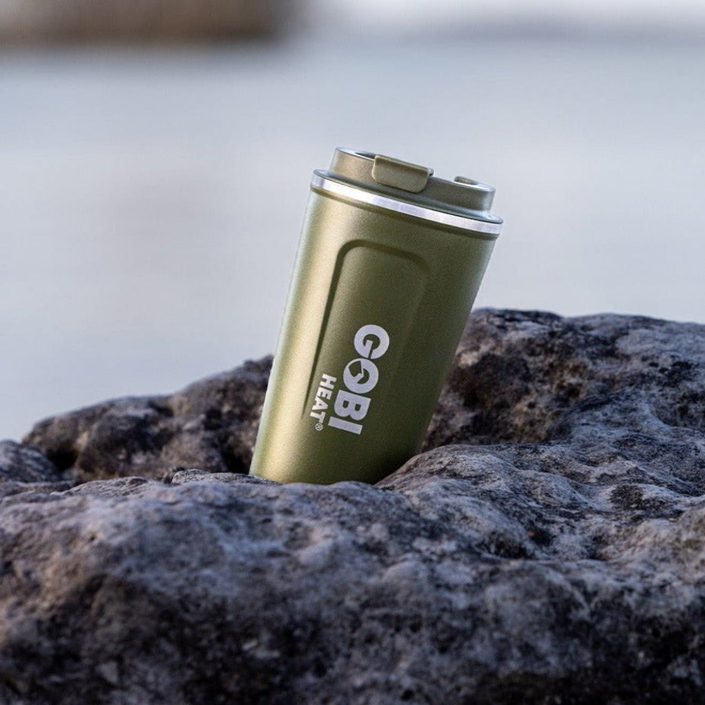 17oz Stainless Insulated Mug by Gobi Heat