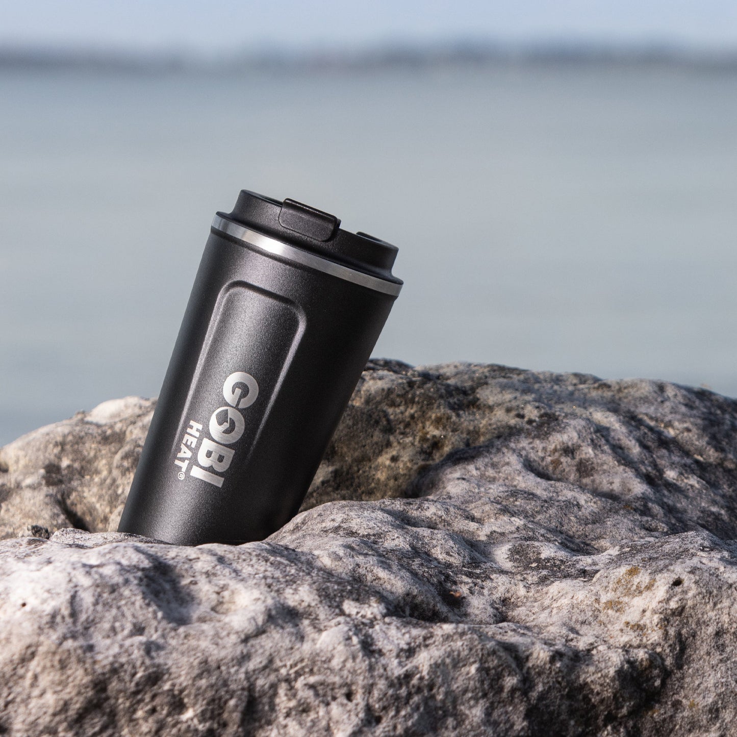 17oz Stainless Insulated Mug by Gobi Heat